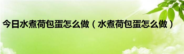 今日水煮荷包蛋怎么做（水煮荷包蛋怎么做）