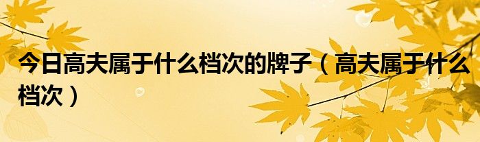 今日高夫属于什么档次的牌子（高夫属于什么档次）