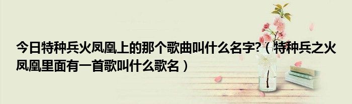 今日特种兵火凤凰上的那个歌曲叫什么名字?（特种兵之火凤凰里面有一首歌叫什么歌名）