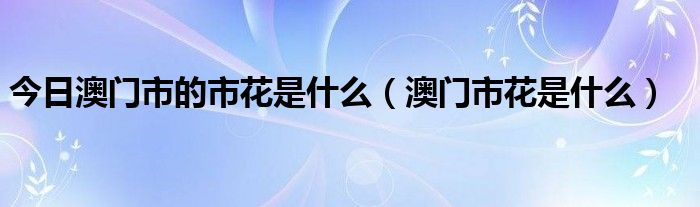 今日澳门市的市花是什么（澳门市花是什么）