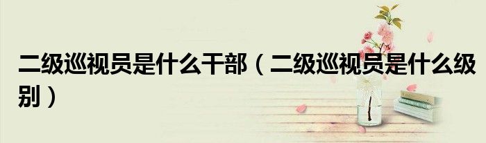 二级巡视员是什么干部（二级巡视员是什么级别）