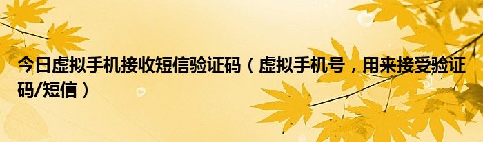 今日虚拟手机接收短信验证码（虚拟手机号，用来接受验证码/短信）