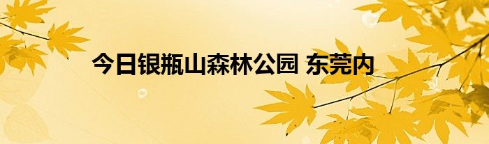 今日银瓶山森林公园 东莞内