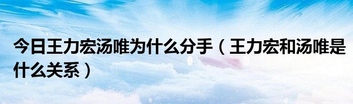 今日王力宏汤唯为什么分手（王力宏和汤唯是什么关系）
