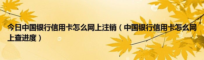 今日中国银行信用卡怎么网上注销（中国银行信用卡怎么网上查进度）