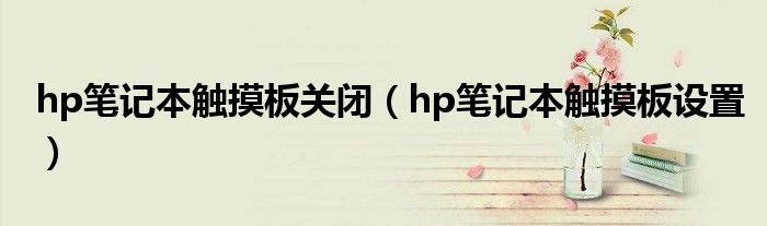 hp笔记本触摸板关闭（hp笔记本触摸板设置）