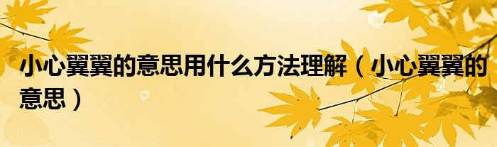 小心翼翼的意思用什么方法理解（小心翼翼的意思）