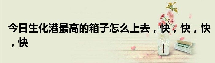今日生化港最高的箱子怎么上去，快，快，快，快