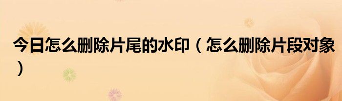 今日怎么删除片尾的水印（怎么删除片段对象）