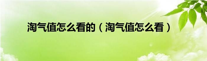 淘气值怎么看的（淘气值怎么看）