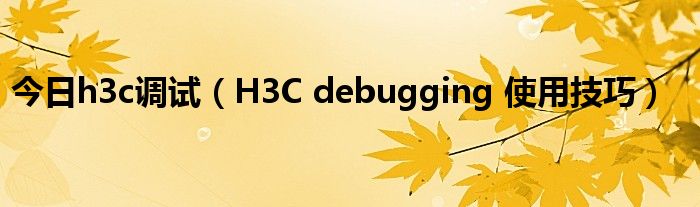 今日h3c调试（H3C debugging 使用技巧）