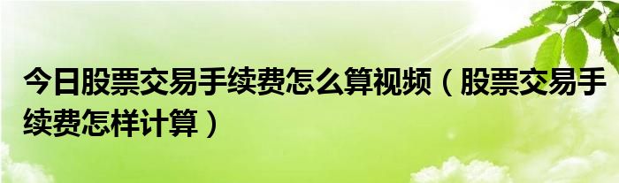 今日股票交易手续费怎么算视频（股票交易手续费怎样计算）