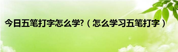 今日五笔打字怎么学?（怎么学习五笔打字）