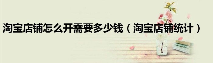淘宝店铺怎么开需要多少钱（淘宝店铺统计）