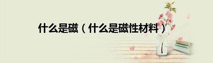 什么是磁（什么是磁性材料）