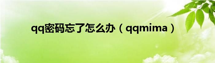 qq密码忘了怎么办（qqmima）