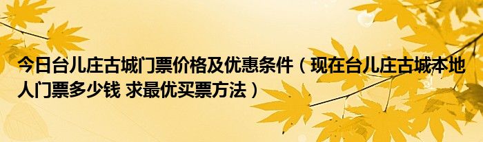 今日台儿庄古城门票价格及优惠条件（现在台儿庄古城本地人门票多少钱 求最优买票方法）