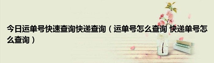 今日运单号快速查询快递查询（运单号怎么查询 快递单号怎么查询）