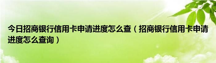 今日招商银行信用卡申请进度怎么查（招商银行信用卡申请进度怎么查询）