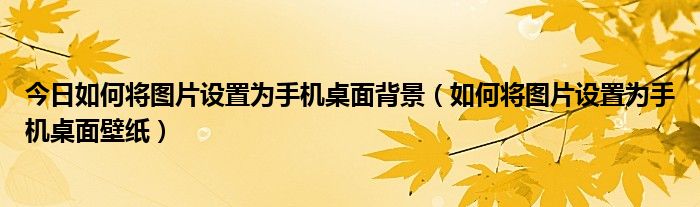 今日如何将图片设置为手机桌面背景（如何将图片设置为手机桌面壁纸）