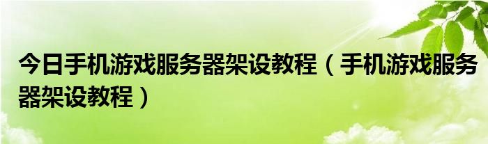 今日手机游戏服务器架设教程（手机游戏服务器架设教程）