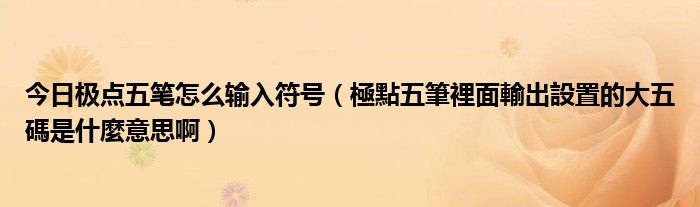 今日极点五笔怎么输入符号（極點五筆裡面輸出設置的大五碼是什麼意思啊）