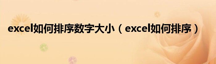 excel如何排序数字大小（excel如何排序）