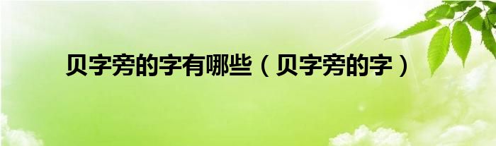 贝字旁的字有哪些（贝字旁的字）