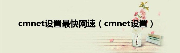 cmnet设置最快网速（cmnet设置）