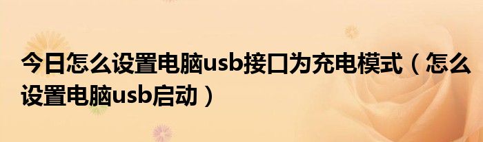 今日怎么设置电脑usb接口为充电模式（怎么设置电脑usb启动）