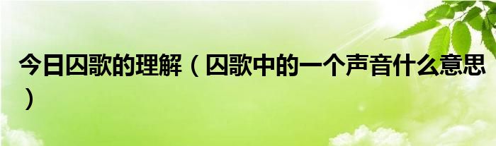 今日囚歌的理解（囚歌中的一个声音什么意思）