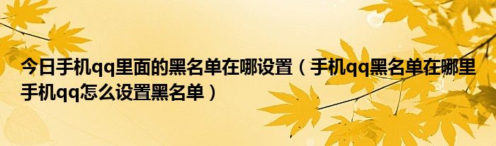 今日手机qq里面的黑名单在哪设置（手机qq黑名单在哪里手机qq怎么设置黑名单）