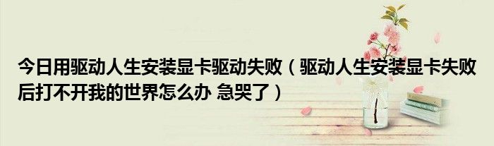 今日用驱动人生安装显卡驱动失败（驱动人生安装显卡失败后打不开我的世界怎么办 急哭了）