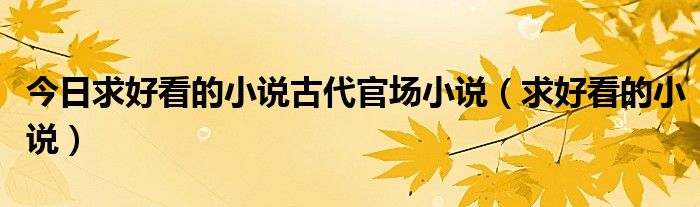 今日求好看的小说古代官场小说（求好看的小说）