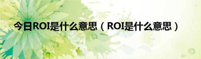 今日ROI是什么意思（ROI是什么意思）