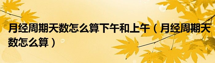 月经周期天数怎么算下午和上午（月经周期天数怎么算）