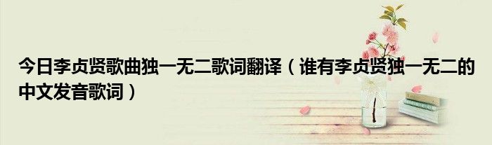 今日李贞贤歌曲独一无二歌词翻译（谁有李贞贤独一无二的中文发音歌词）