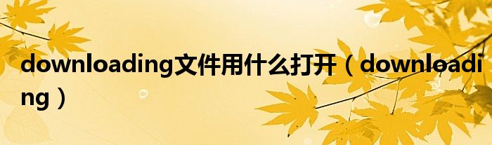 downloading文件用什么打开（downloading）