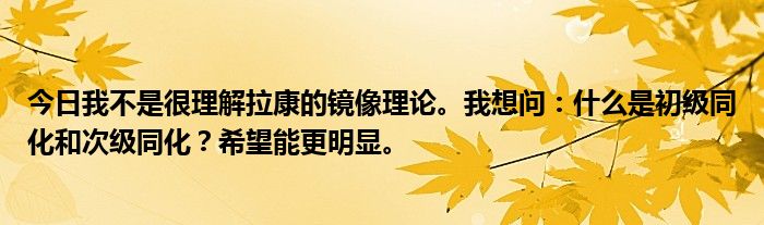 今日我不是很理解拉康的镜像理论。我想问：什么是初级同化和次级同化？希望能更明显。