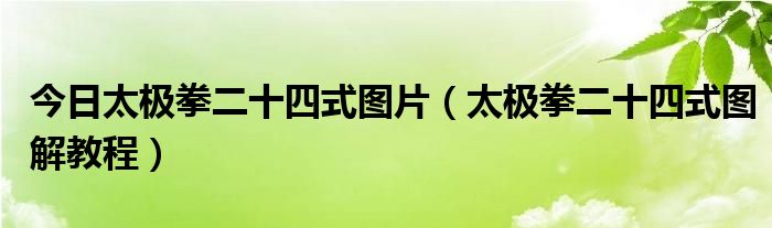 今日太极拳二十四式图片（太极拳二十四式图解教程）