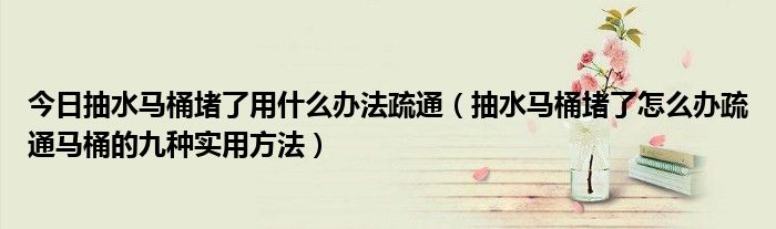 今日抽水马桶堵了用什么办法疏通（抽水马桶堵了怎么办疏通马桶的九种实用方法）
