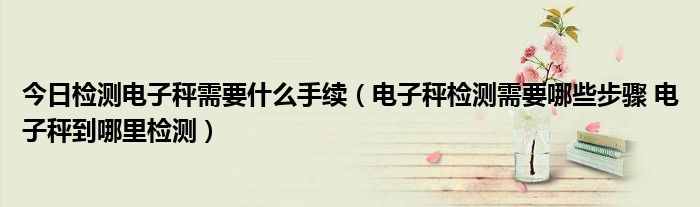 今日检测电子秤需要什么手续（电子秤检测需要哪些步骤 电子秤到哪里检测）