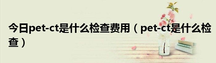 今日pet-ct是什么检查费用（pet-ct是什么检查）