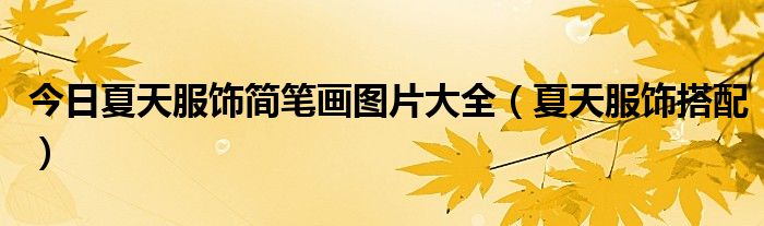 今日夏天服饰简笔画图片大全（夏天服饰搭配）