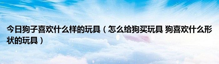 今日狗子喜欢什么样的玩具（怎么给狗买玩具 狗喜欢什么形状的玩具）