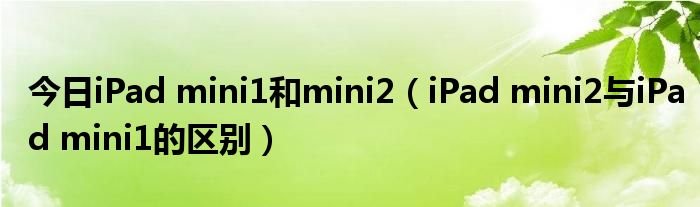 今日iPad mini1和mini2（iPad mini2与iPad mini1的区别）
