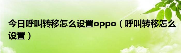 今日呼叫转移怎么设置oppo（呼叫转移怎么设置）