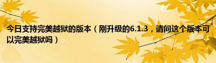 今日支持完美越狱的版本（刚升级的6.1.3，请问这个版本可以完美越狱吗）