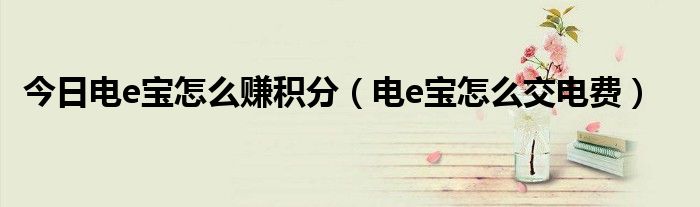 今日电e宝怎么赚积分（电e宝怎么交电费）