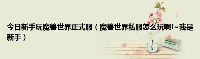 今日新手玩魔兽世界正式服（魔兽世界私服怎么玩啊!~我是新手）